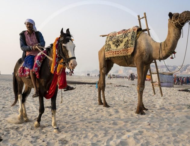 wmremove-transformed(1)